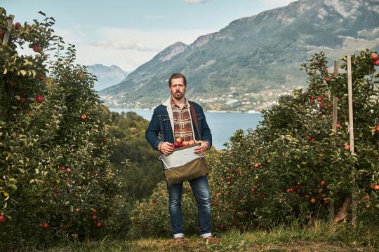 Joar Aga, the man behind Aga Sideri, picks his apples in the dramatic landscape of Hardanger