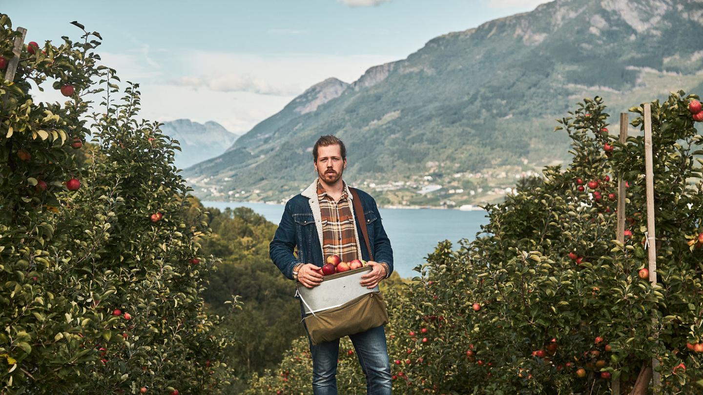 Joar Aga, the man behind Aga Sideri, picks his apples in the dramatic landscape of Hardanger