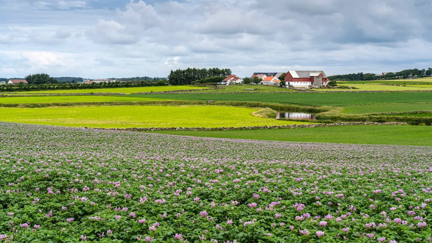 A farm seen across a green field