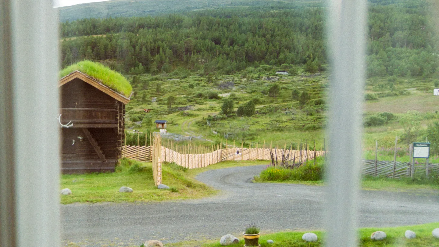 Hindseter view