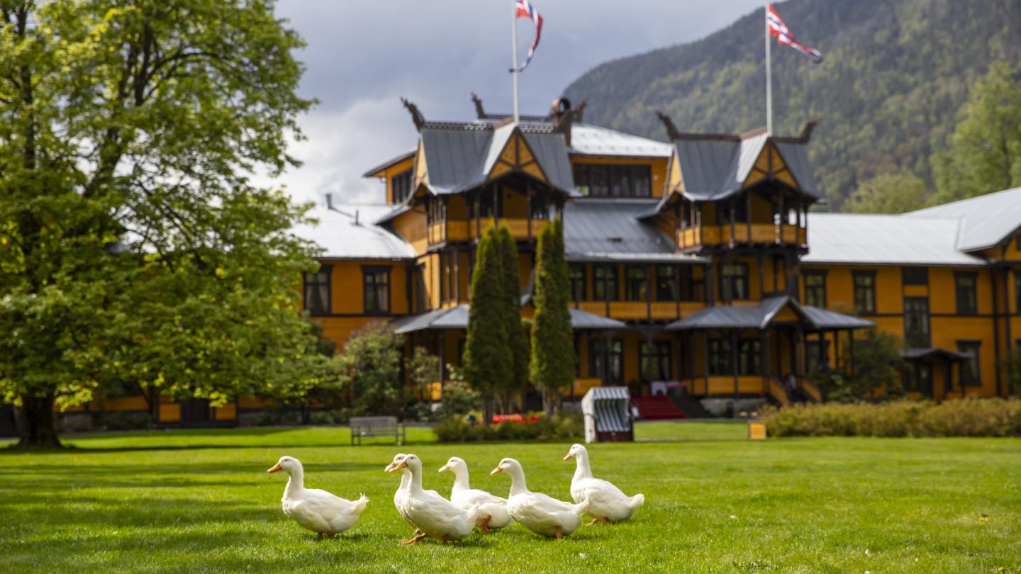 Dalen Hotel and the ducks