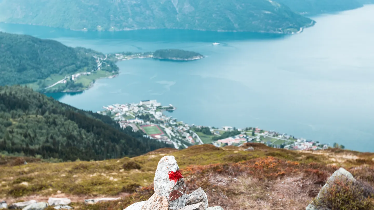 The view from a trail at Raudmelen