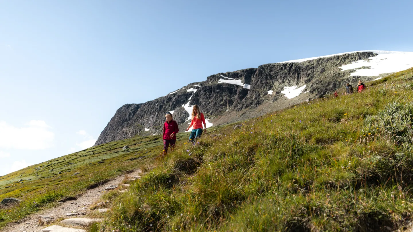 Hiking in Prestholttrappene