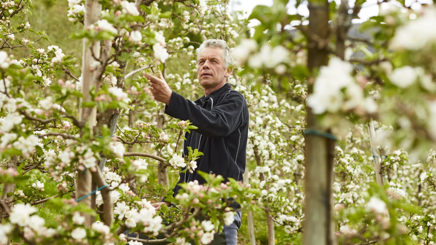 Farmer in Ulvik