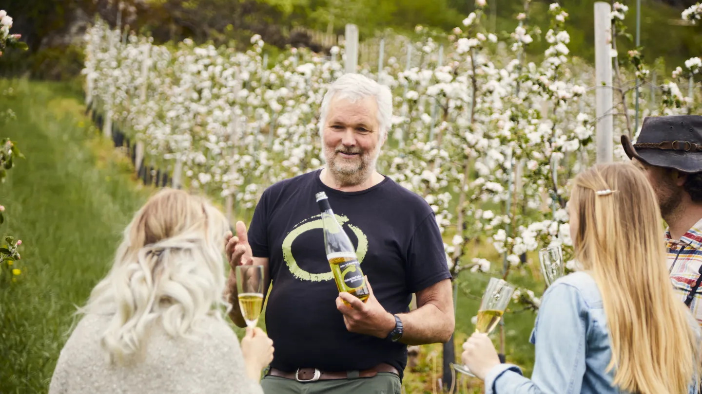 Cider tasting