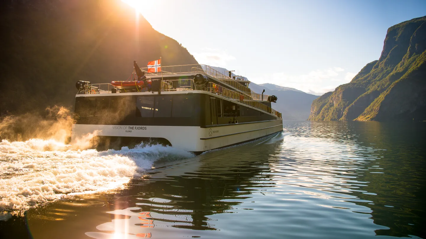 Vision of the Fjords sailing through the Nærøyfjord